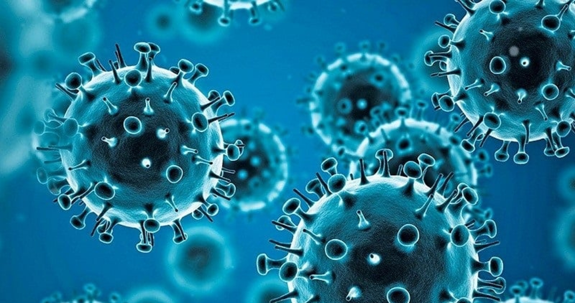 coronavirus
